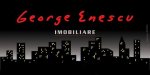 George Enescu (Agent imobiliar)